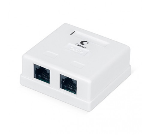 Cabeus WS-8P8C-Cat.5e-2 Розетка компьютерная RJ-45, категория 5e, двойная, внешняя, Dual IDC