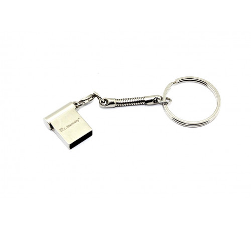 Флешка USB Dr. Memory mini 4Гб, USB 2.0, серебристый