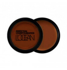 L’ocean Консилер / Perfection Cover Foundation #40 Cinnamon, 16 г