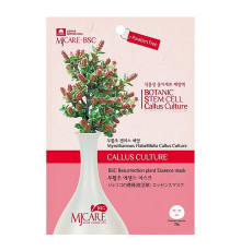 MIJIN Маска тканевая с экстрактом миротамнуса / MJ Care BSC Resurrection Plant Essence Mask, 25 г