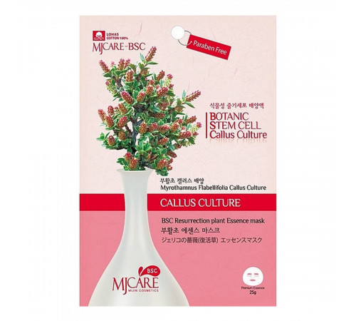 MIJIN Маска тканевая с экстрактом миротамнуса / MJ Care BSC Resurrection Plant Essence Mask, 25 г