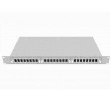 Кросс оптический стоечный 19", 24 SC/DLC адаптера, 1U, серый, TopLAN