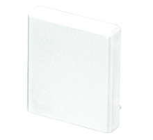 EFAPEL Заглушка для короба 100х60  (13085 ABR)