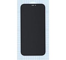 Защитное стекло Privacy Анти-шпион для  iPhone 12 Pro черное