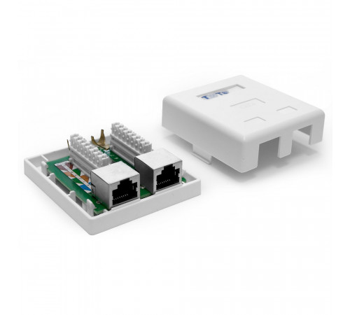 Розетка настенная, 2 порта RJ-45, категория 6, экранированная, белая, TWT-SM2-4545/S6-WH