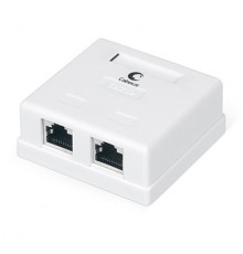 Cabeus WS-8P8C-Cat.5e-SH-2 Розетка компьютерная RJ-45(8P8C), категория 5e, экранированная, двойная, внешняя, Dual IDC