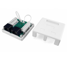 SB1-2-8P8C-C6-WH Розетка компьютерная RJ-45(8P8C), категория 6, двойная, внешняя, Dual IDC Hyperline